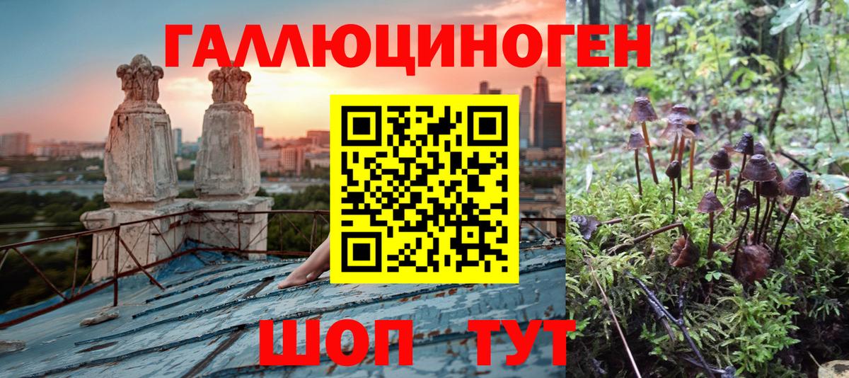 Галлюциногенные грибы мицелий Ахтубинск